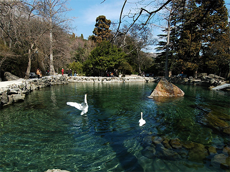 Алупкинский парк,отдых в Алупке,фото Алупки,отдых в Крыму